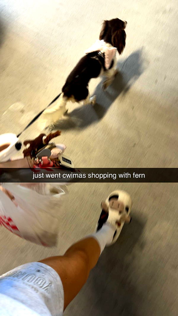 fionamaefit image ~ Altpins