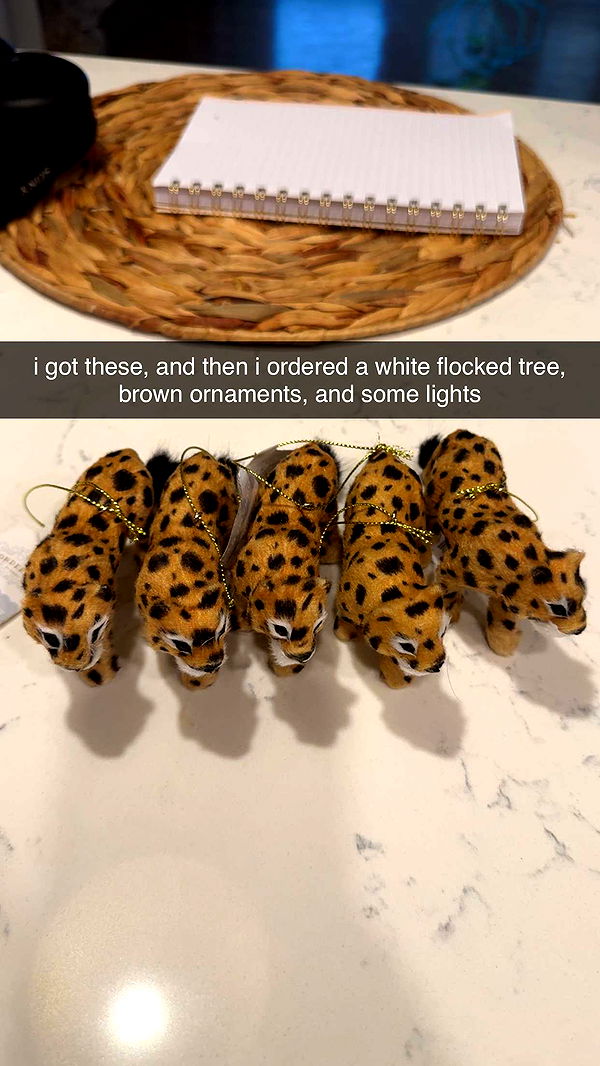 fionamaefit image ~ Altpins