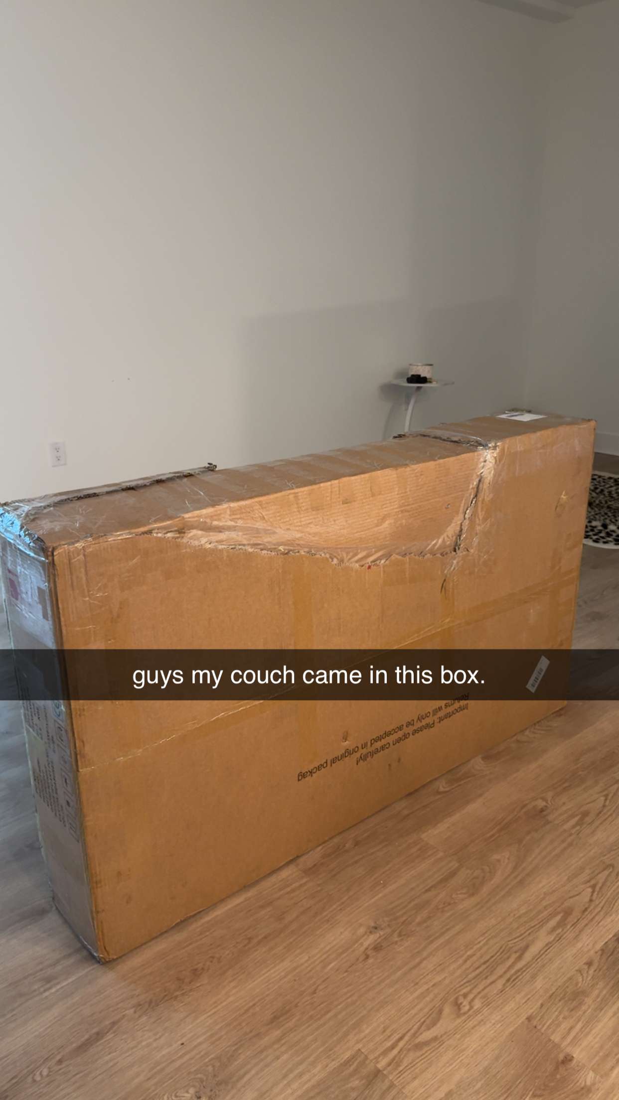 fionamaefit snapchat image archive image