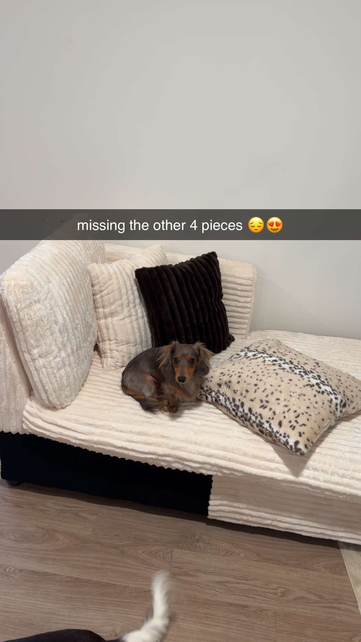 fionamaefit snapchat image archive image