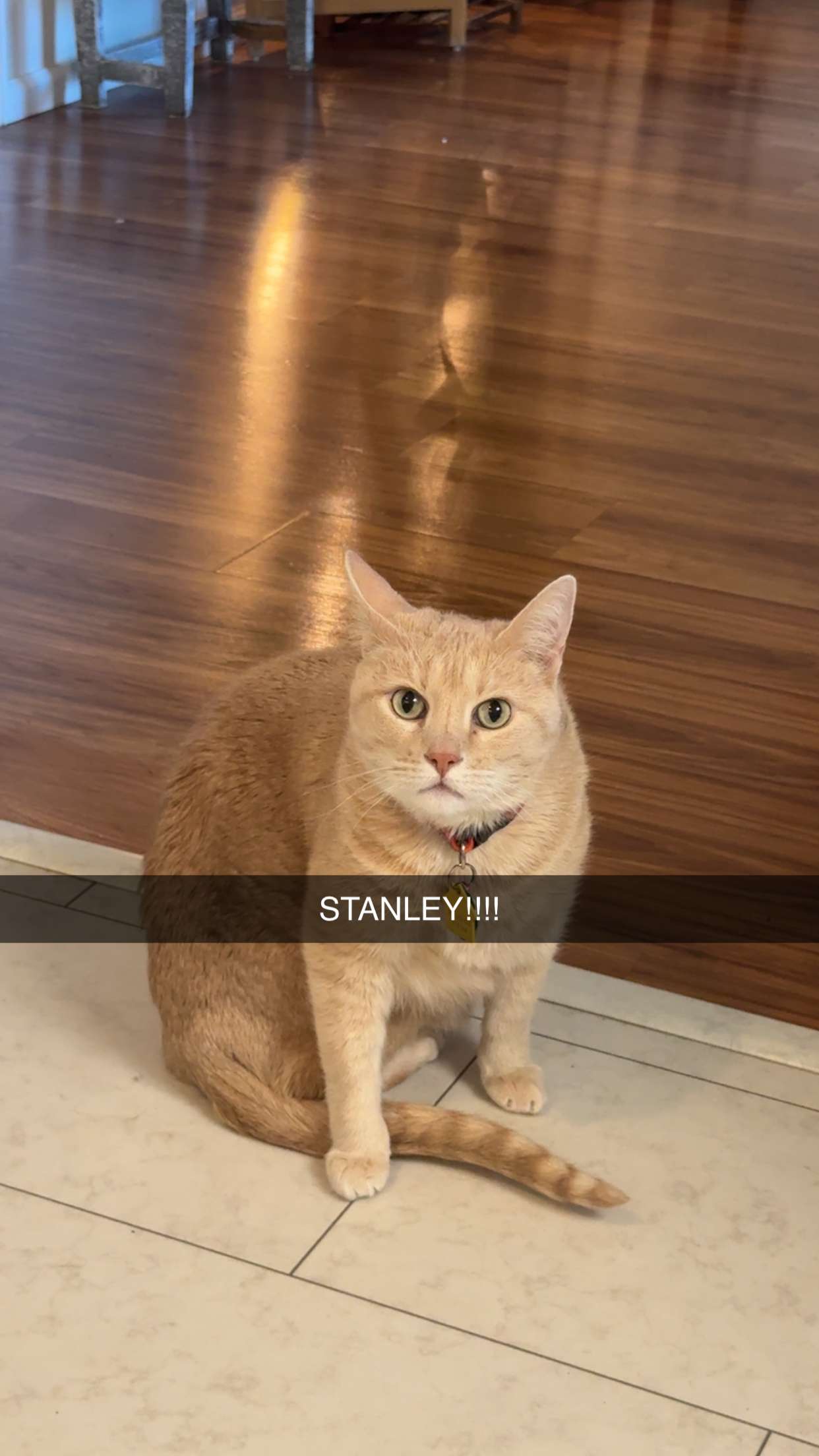 fionamaefit snapchat image archive image