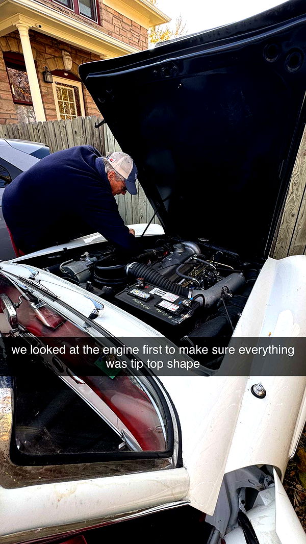 fionamaefit image ~ Altpins