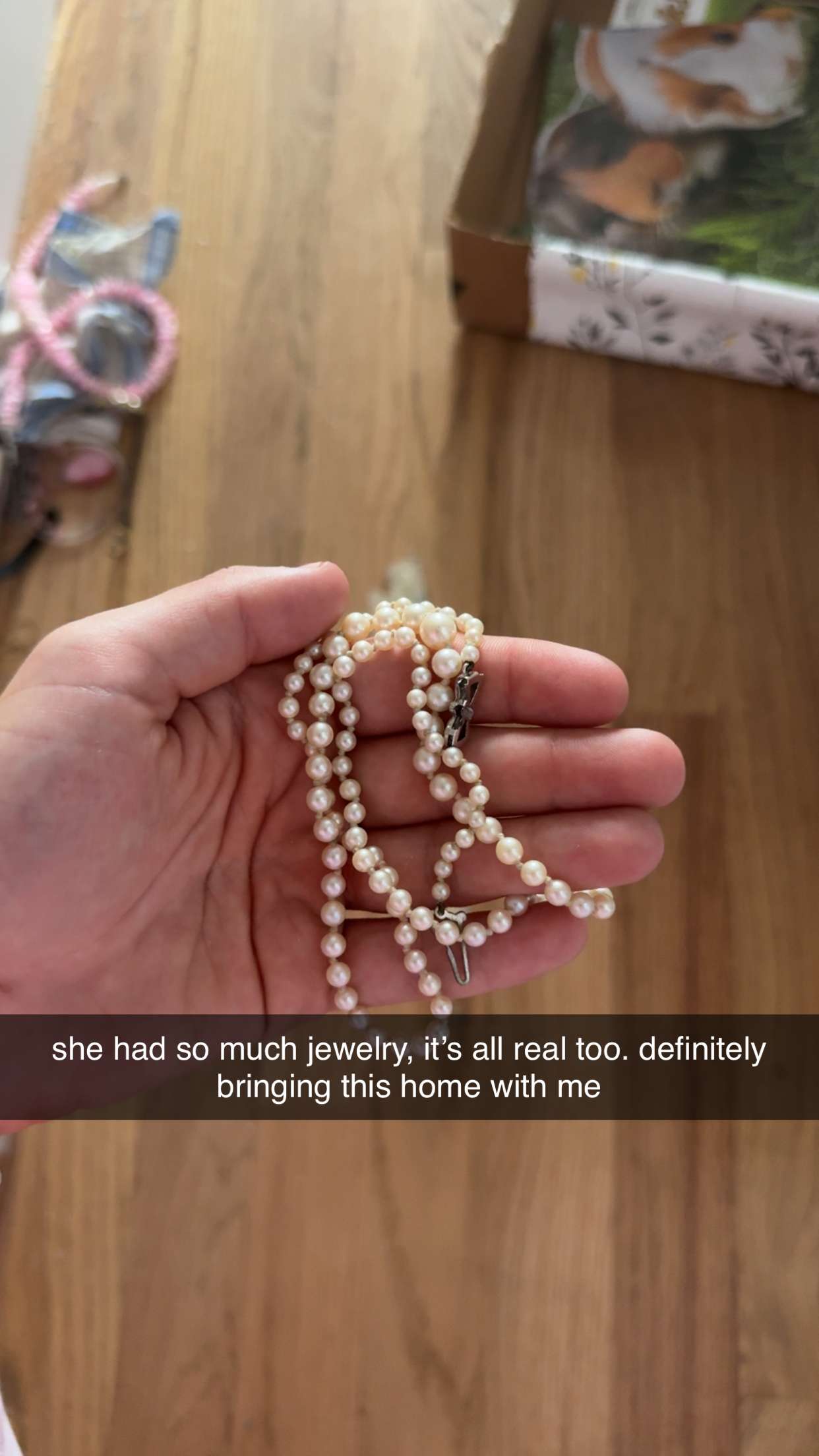 fionamaefit snapchat image archive image