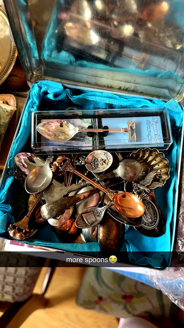 fionamaefit image ~ Altpins