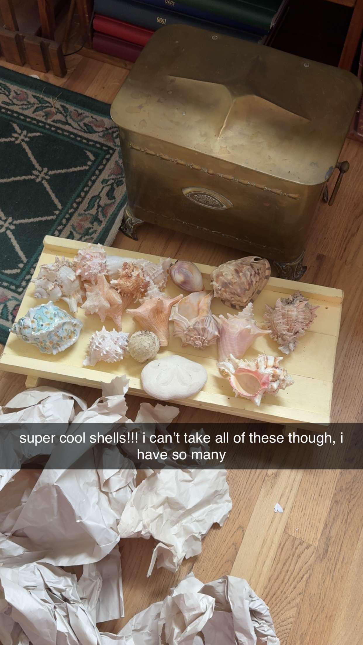 fionamaefit snapchat image archive image