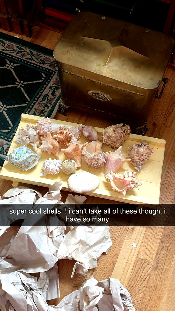 fionamaefit image ~ Altpins