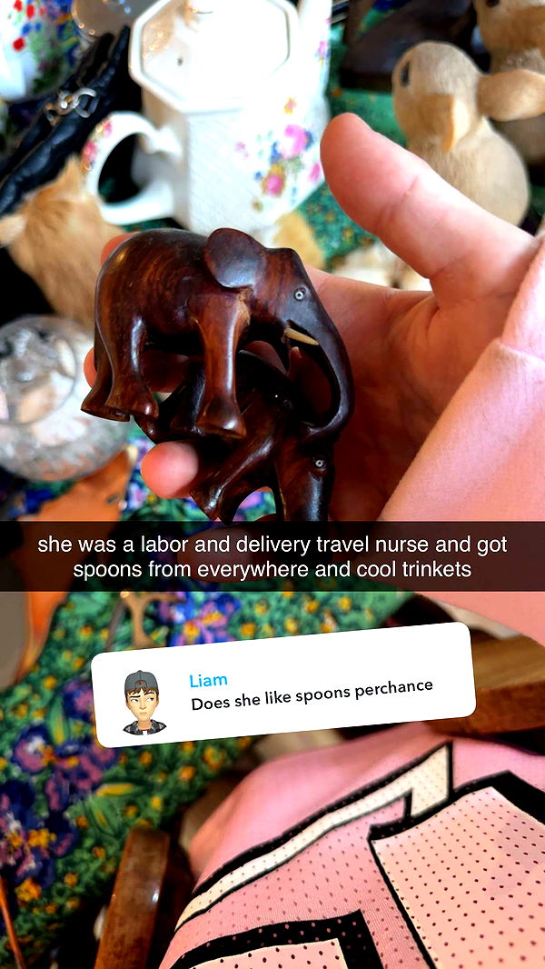 fionamaefit image ~ Altpins