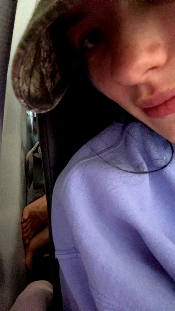 fionamaefit image ~ Altpins