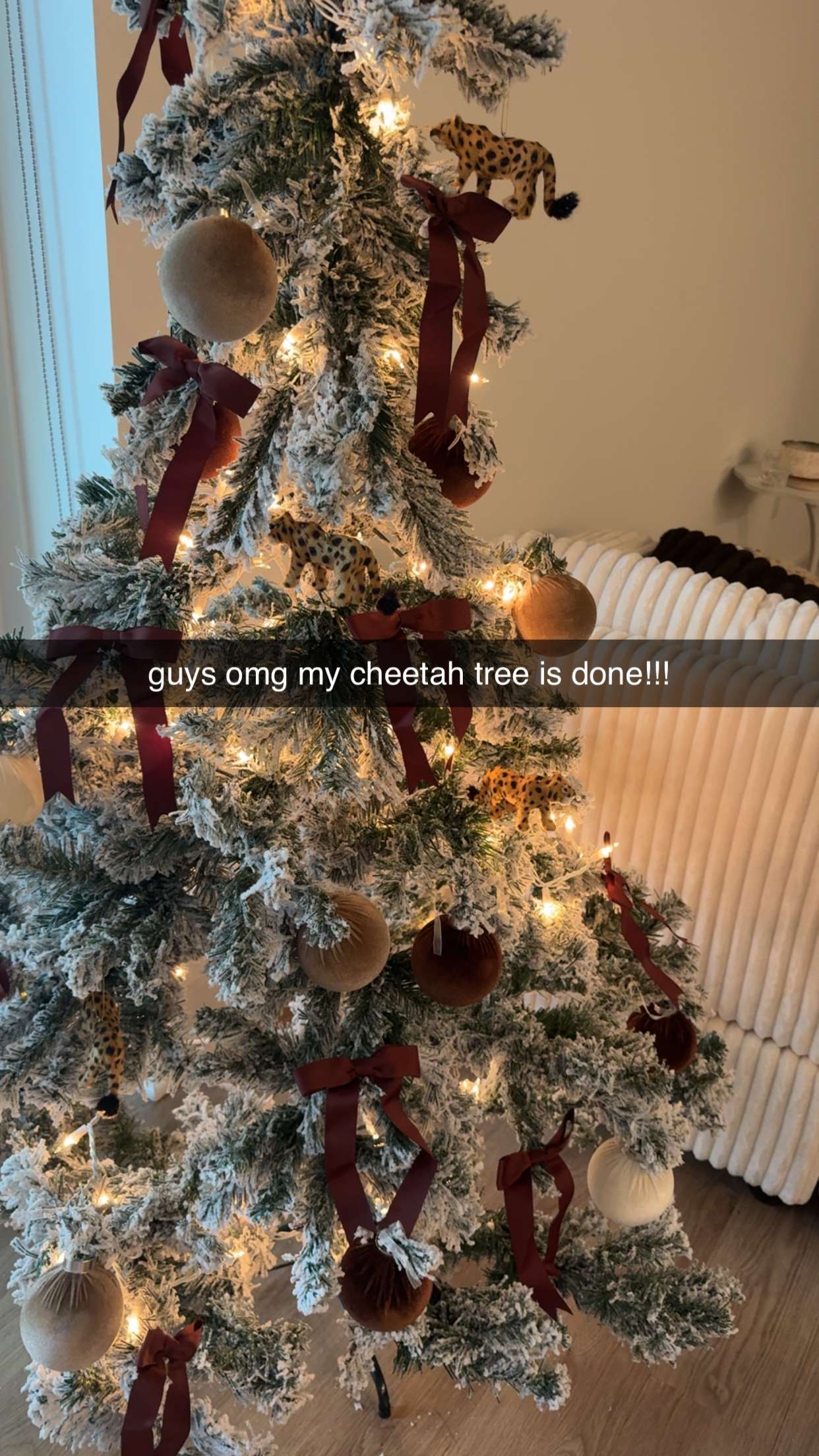 fionamaefit snapchat image archive image