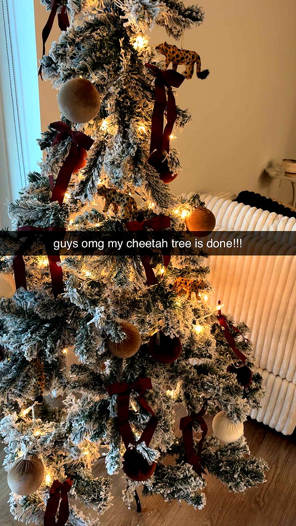 fionamaefit image ~ Altpins