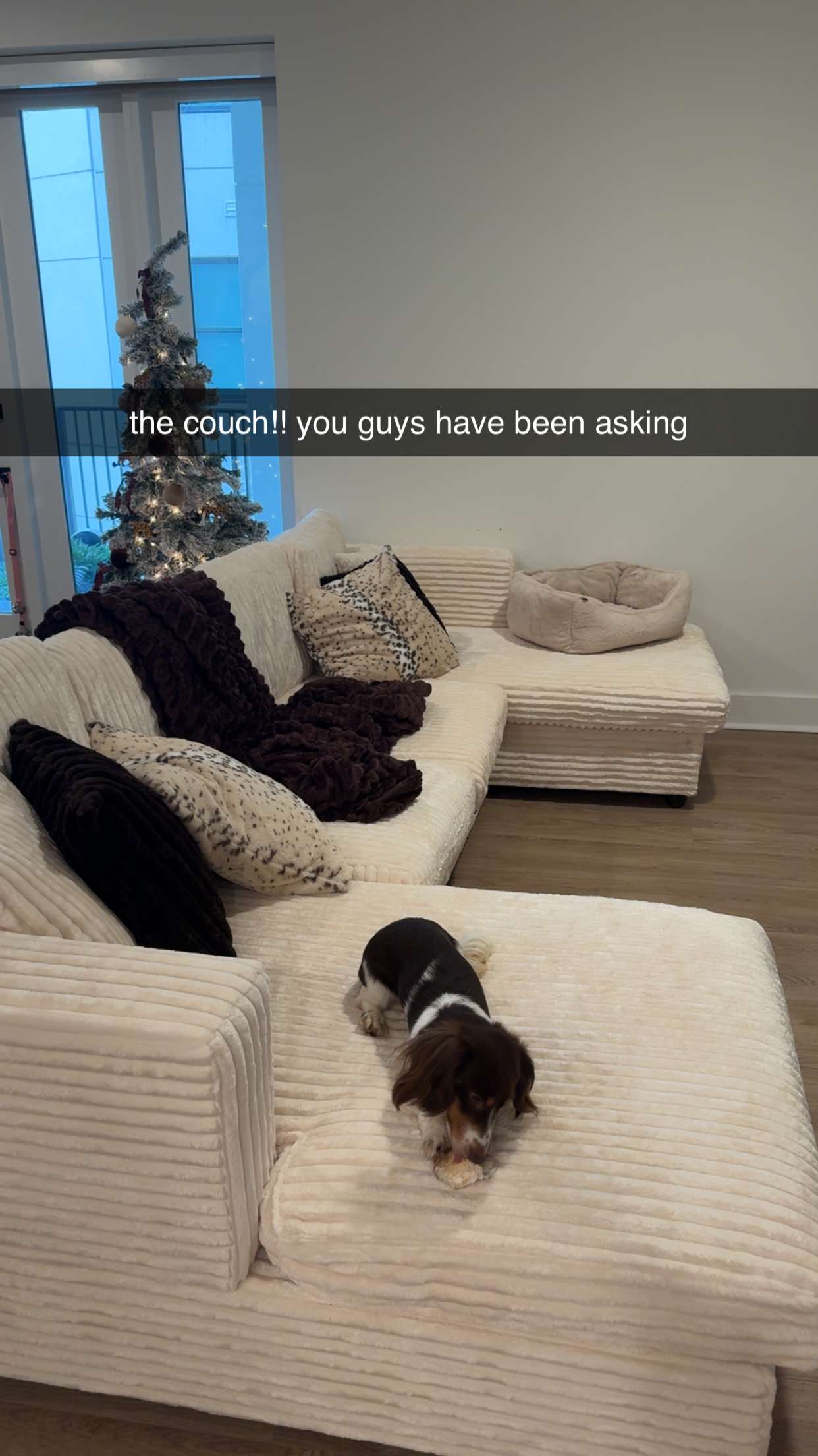 fionamaefit snapchat image archive image