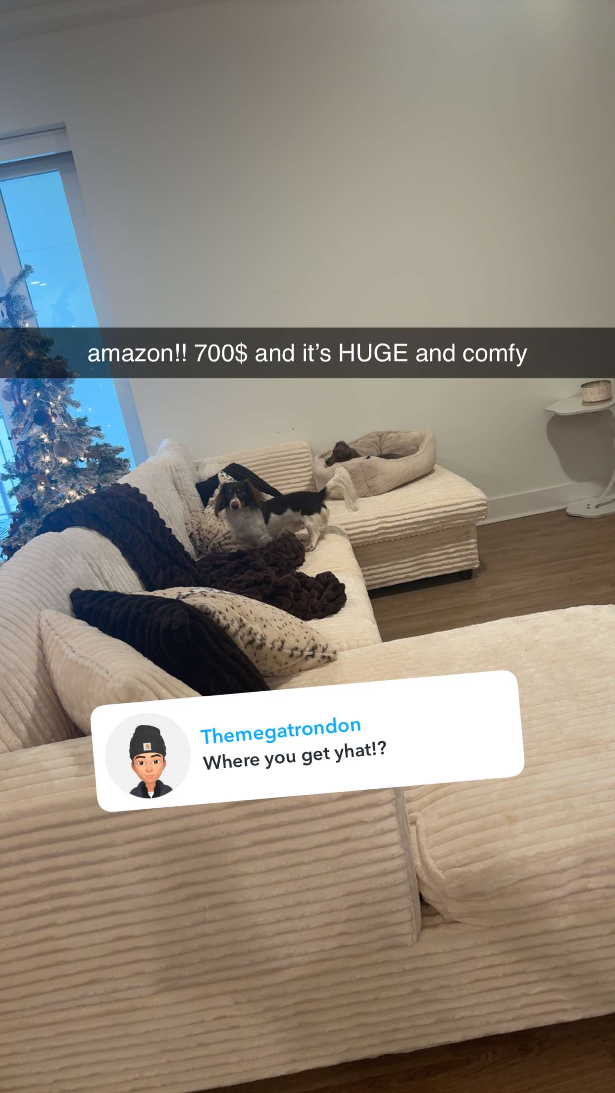 fionamaefit snapchat image archive image