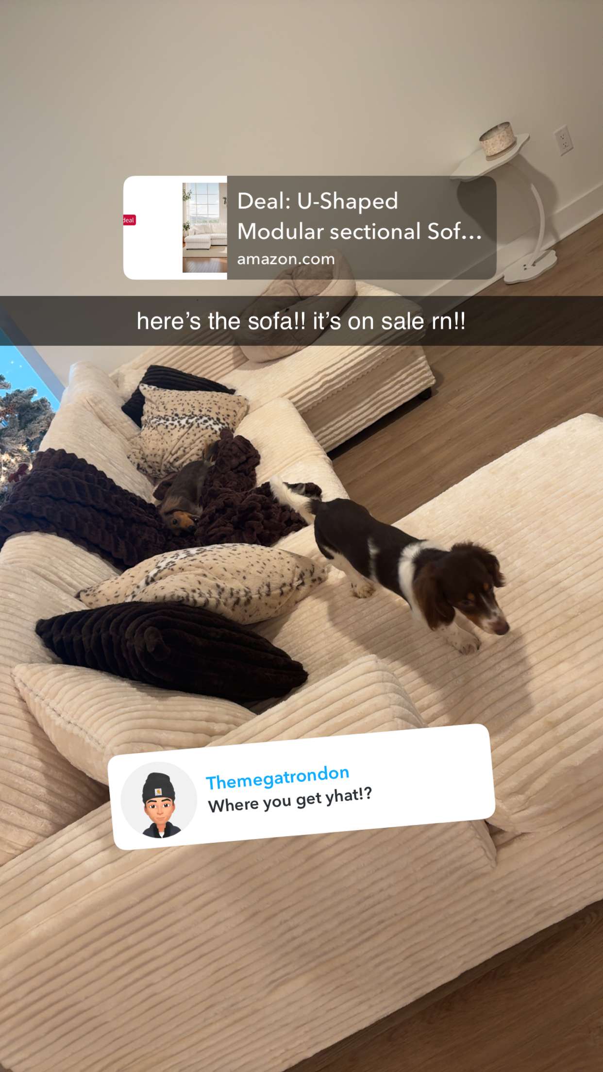 fionamaefit snapchat image archive image