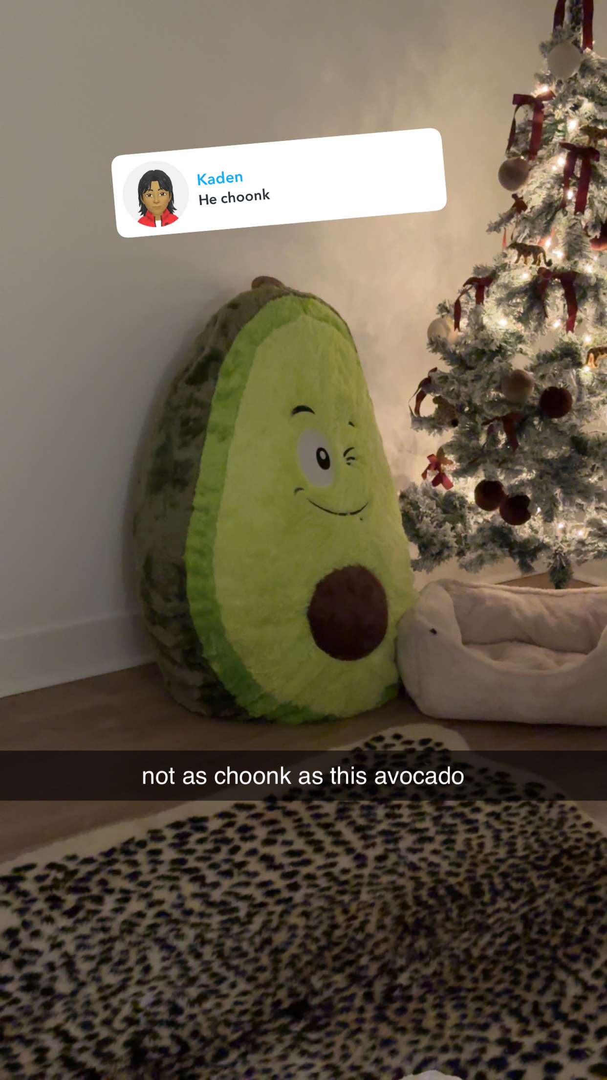 fionamaefit snapchat image archive image