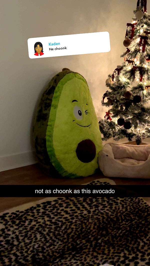 fionamaefit image ~ Altpins