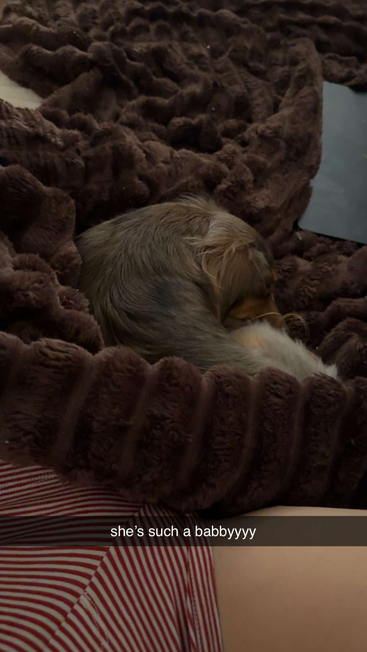 fionamaefit snapchat image archive image