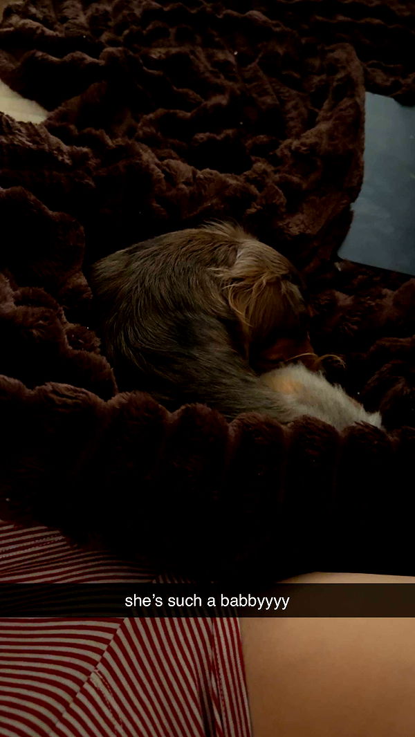 fionamaefit image ~ Altpins