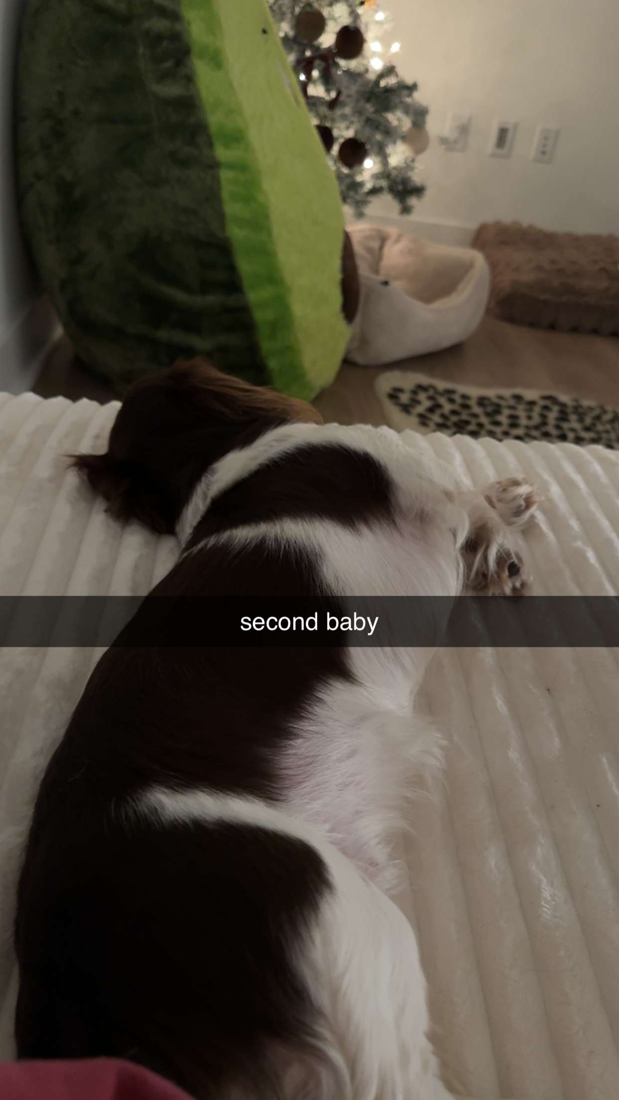 fionamaefit snapchat image archive image