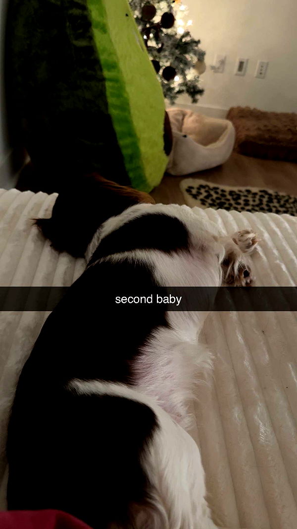 fionamaefit image ~ Altpins