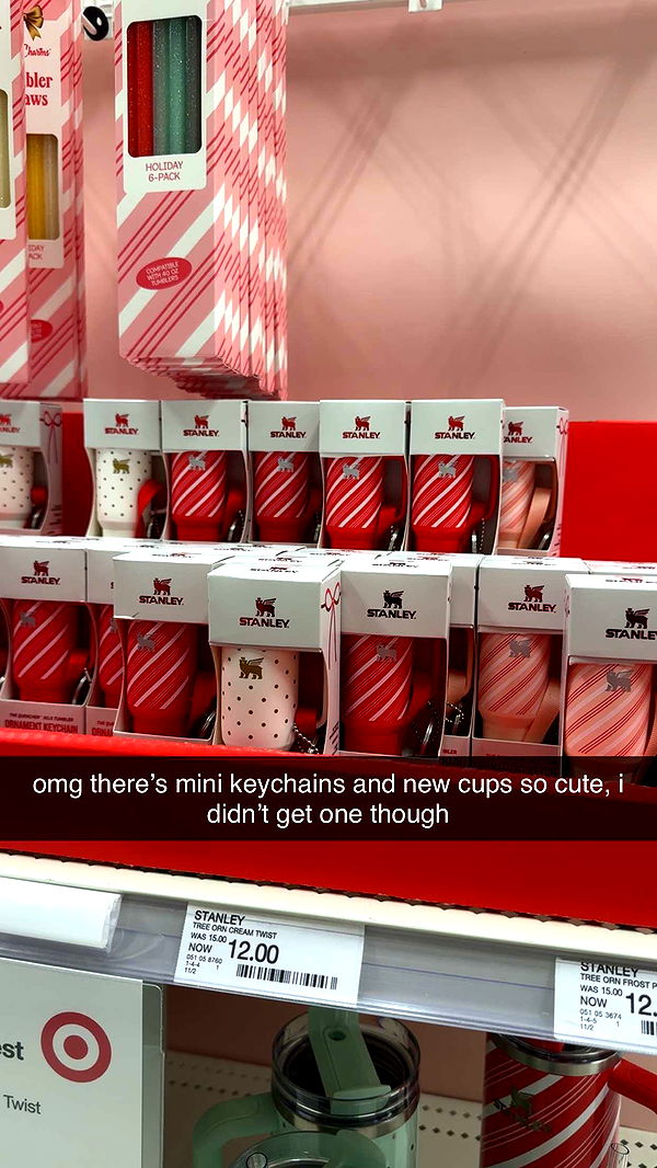 fionamaefit image ~ Altpins