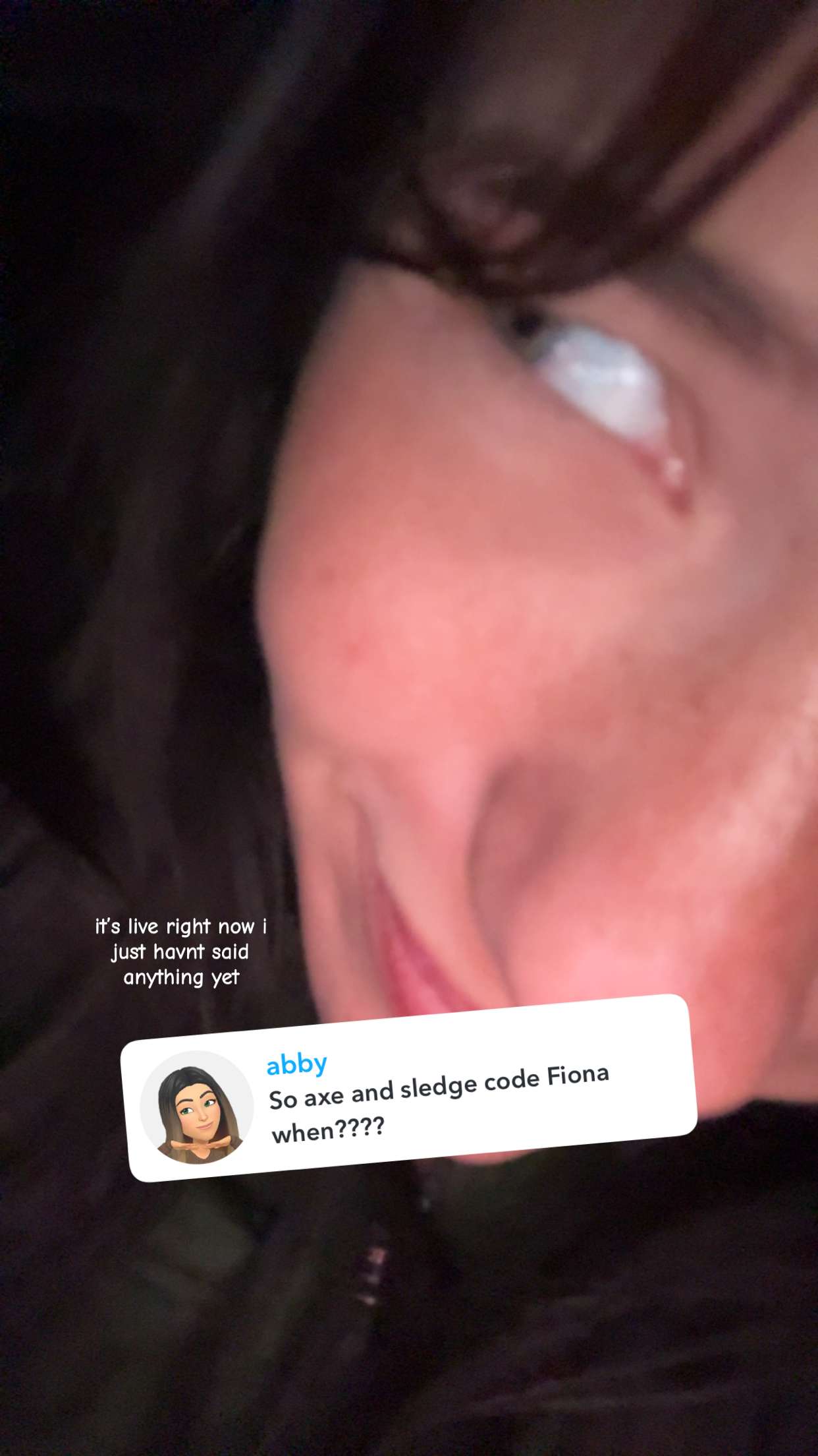 fionamaefit snapchat image archive image