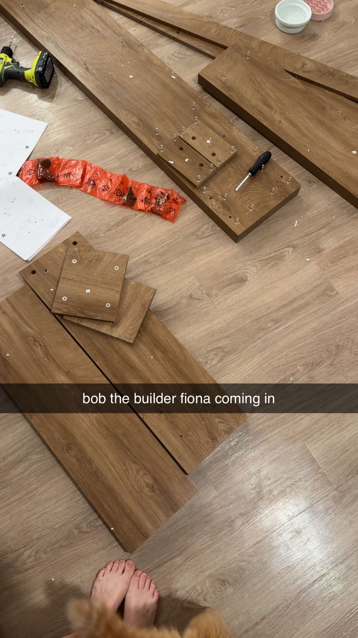 fionamaefit snapchat image archive image