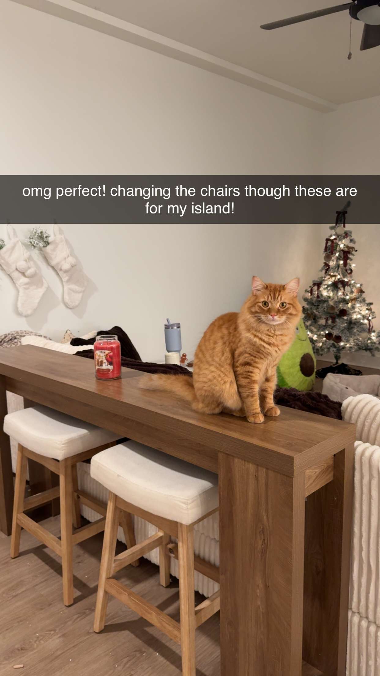 fionamaefit snapchat image archive image