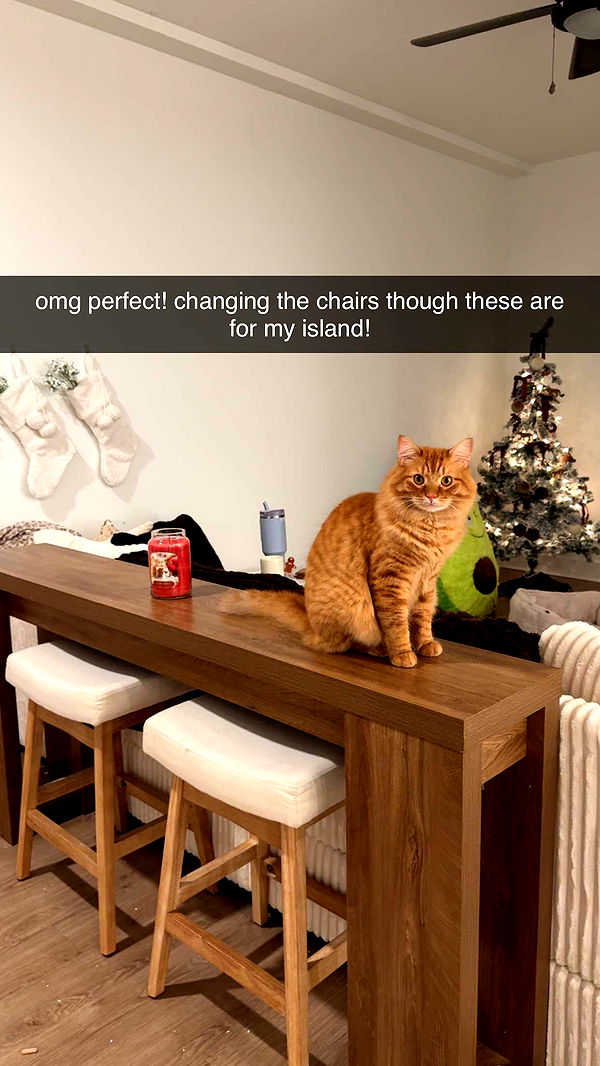 fionamaefit image ~ Altpins