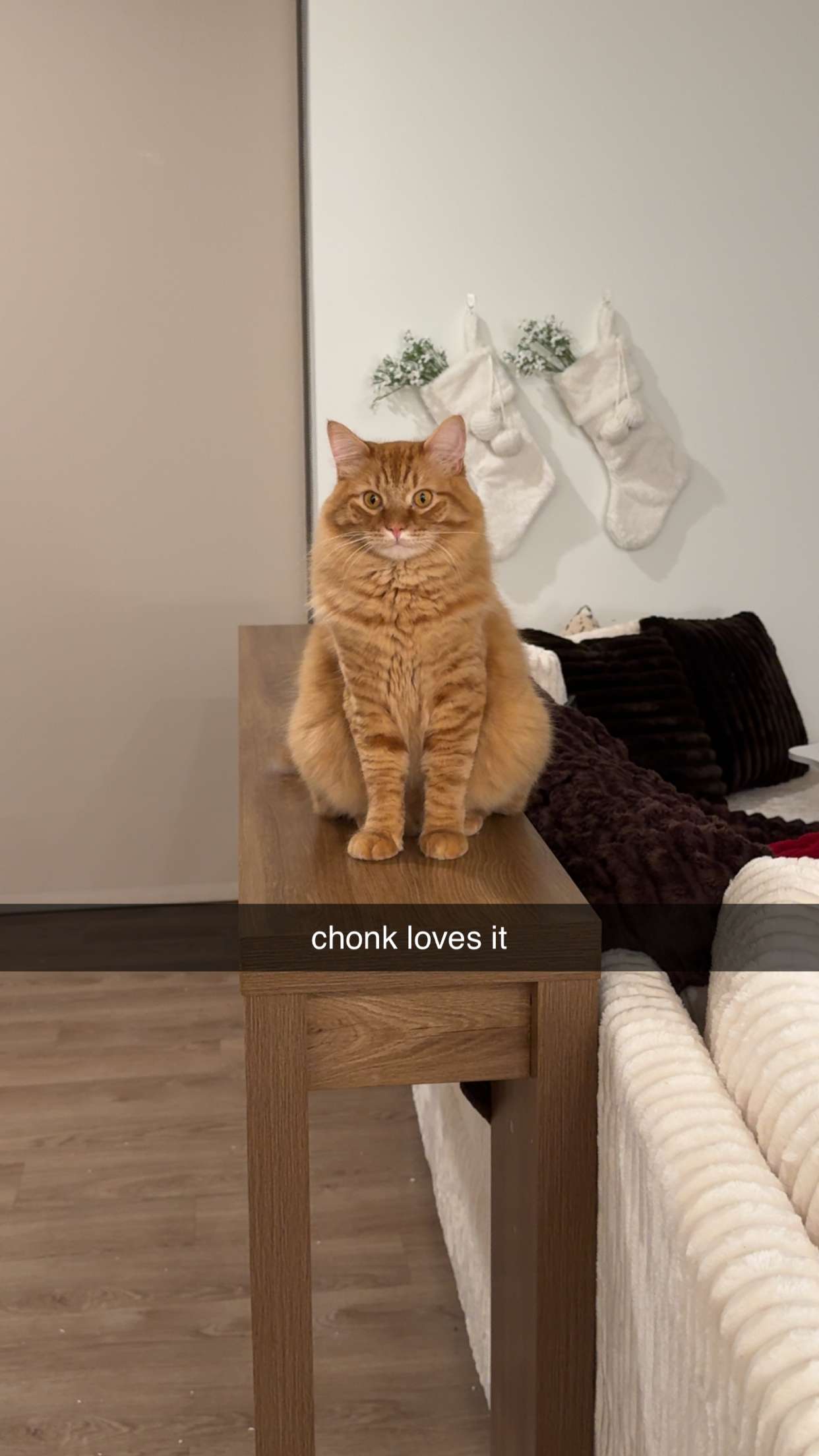 fionamaefit snapchat image archive image