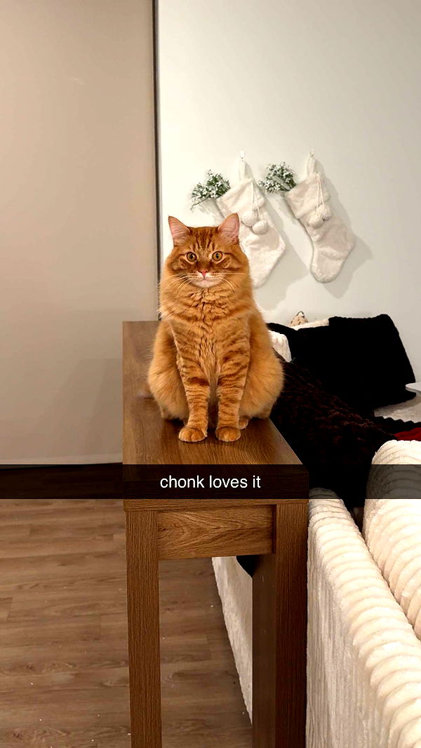 fionamaefit image ~ Altpins