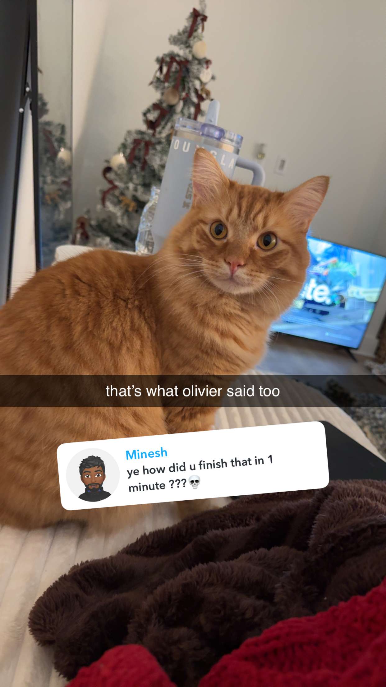 fionamaefit snapchat image archive image