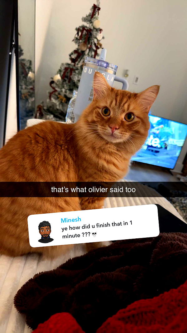 fionamaefit image ~ Altpins