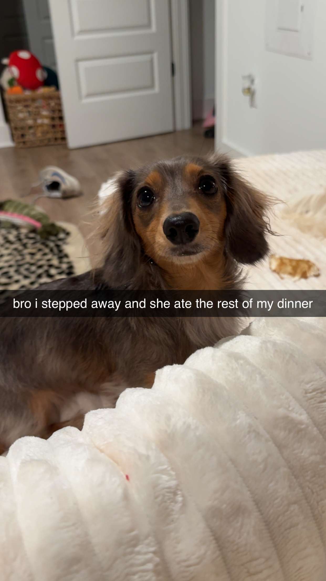 fionamaefit snapchat image archive image