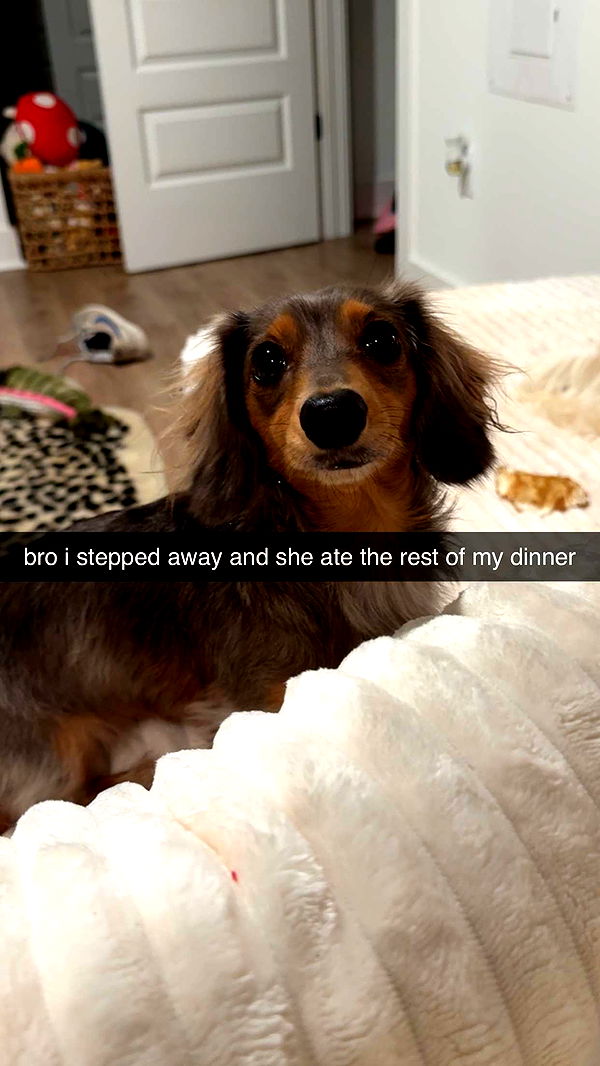 fionamaefit image ~ Altpins