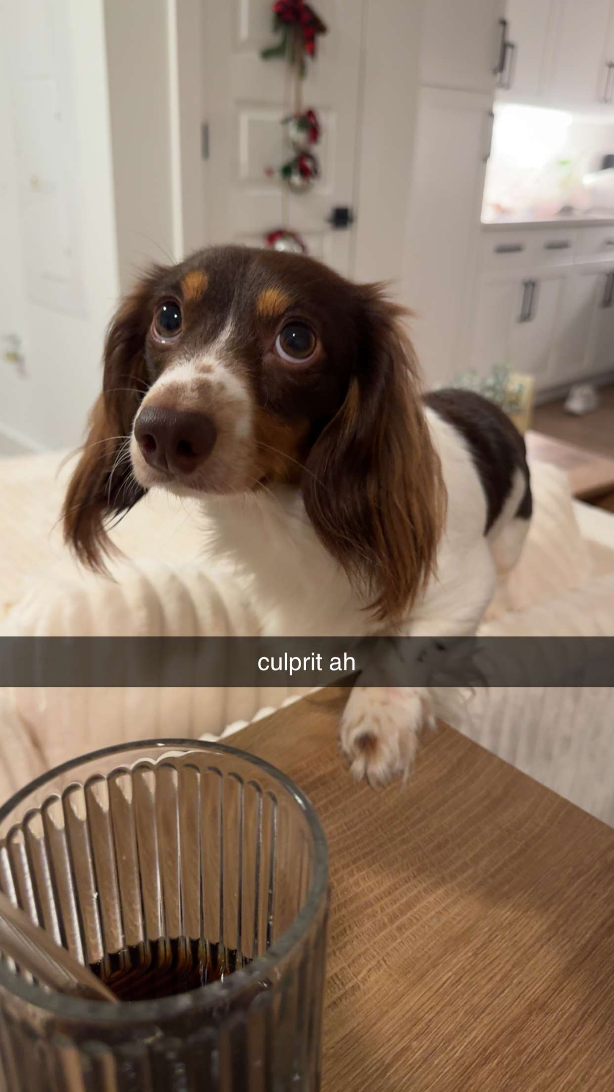 fionamaefit snapchat image archive image