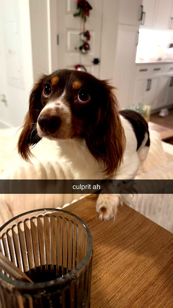 fionamaefit image ~ Altpins