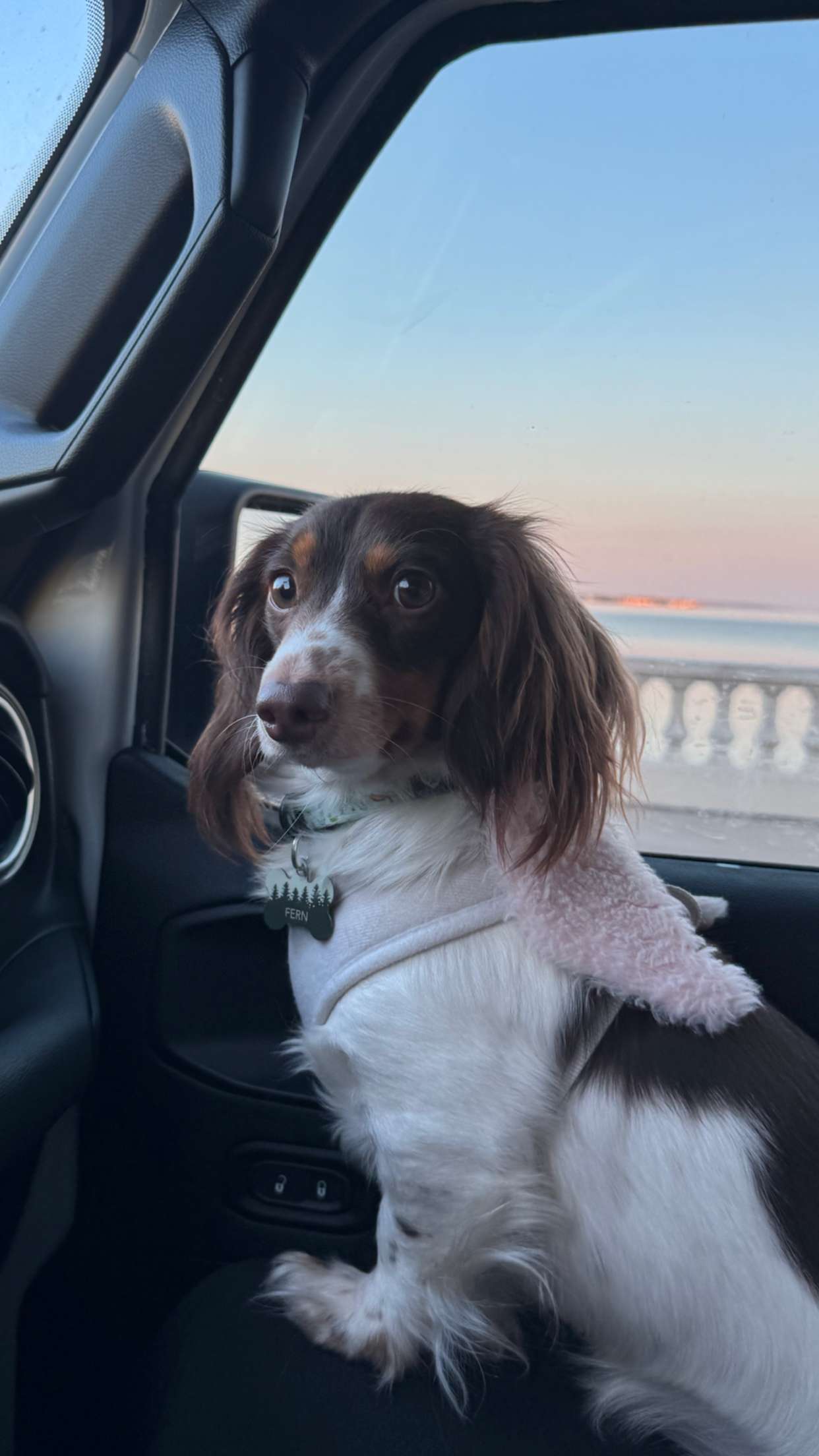 fionamaefit snapchat image archive image