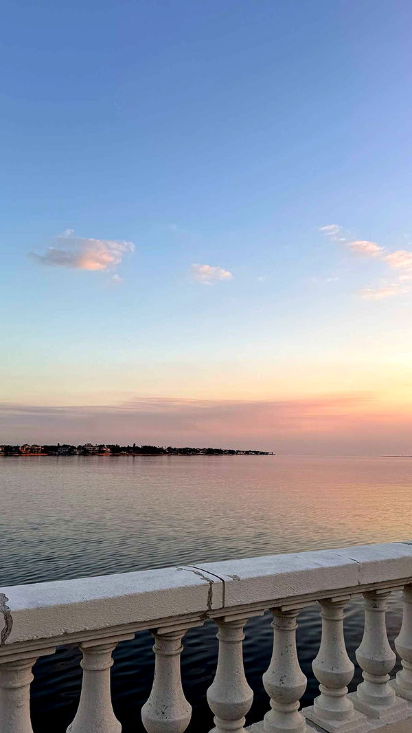 fionamaefit image ~ Altpins