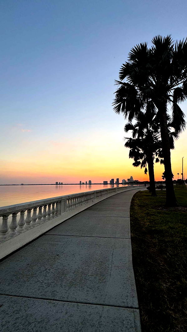 fionamaefit image ~ Altpins