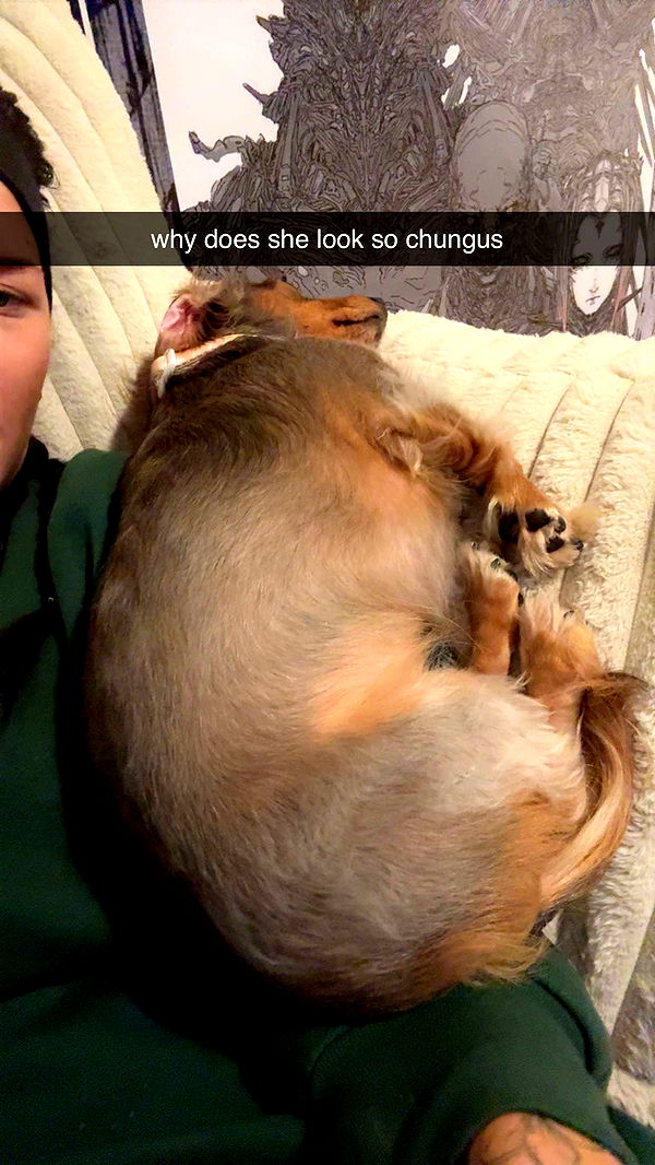 fionamaefit image ~ Altpins