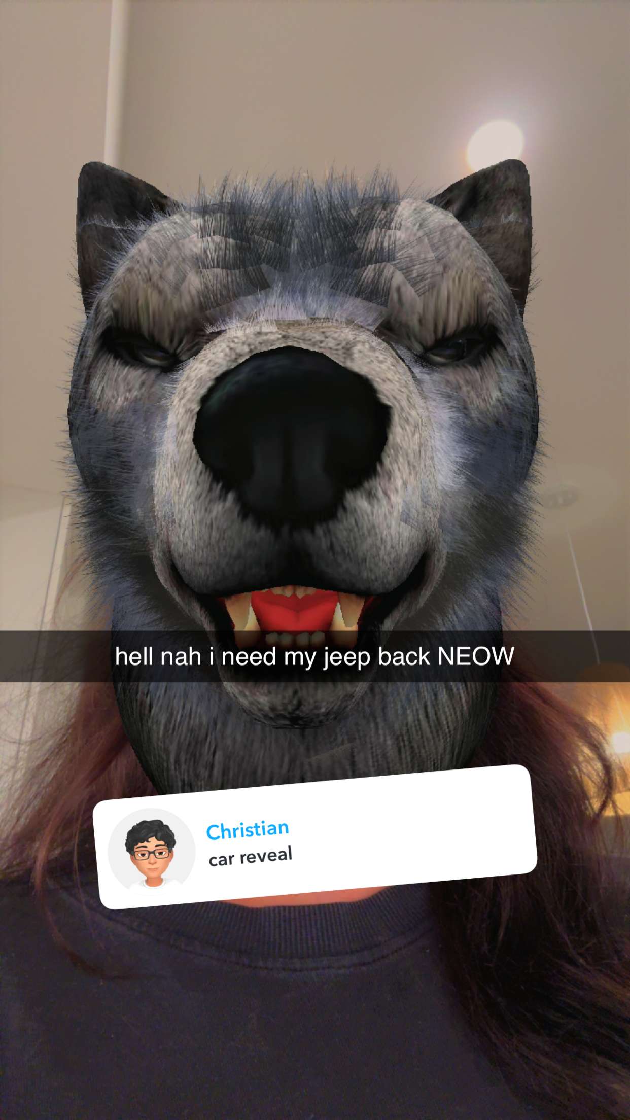 fionamaefit snapchat image archive image