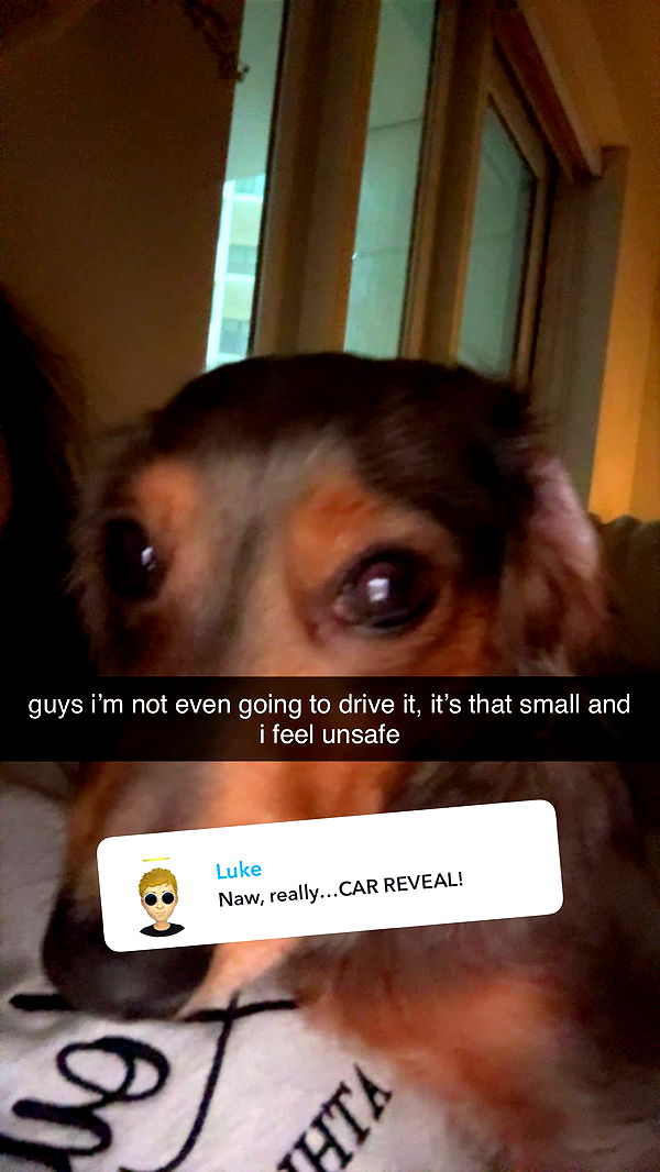 fionamaefit image ~ Altpins