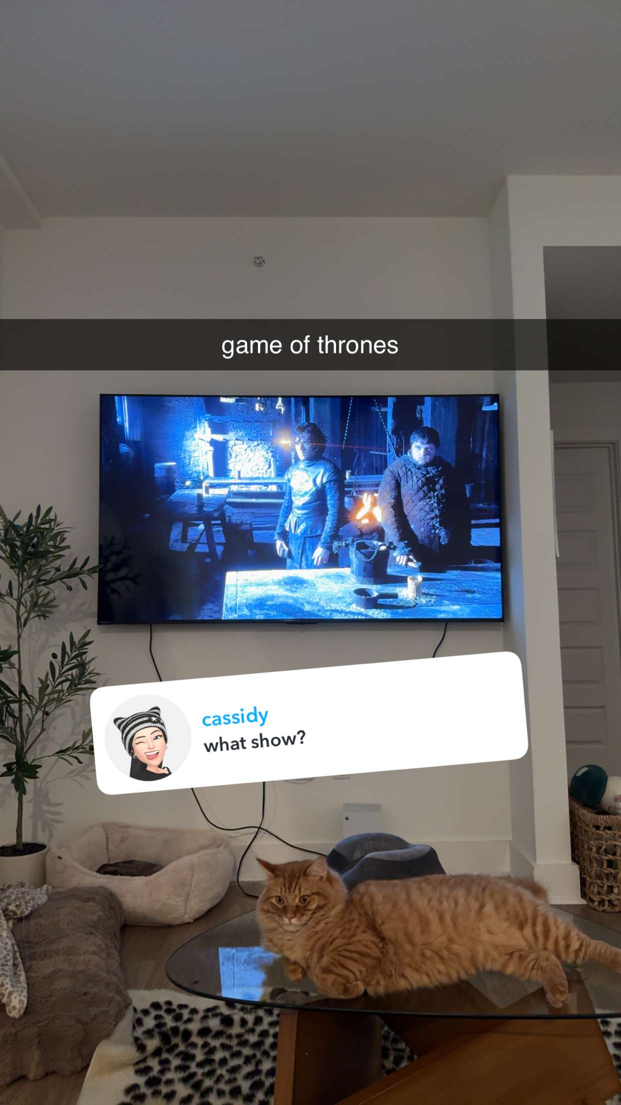 fionamaefit snapchat image archive image