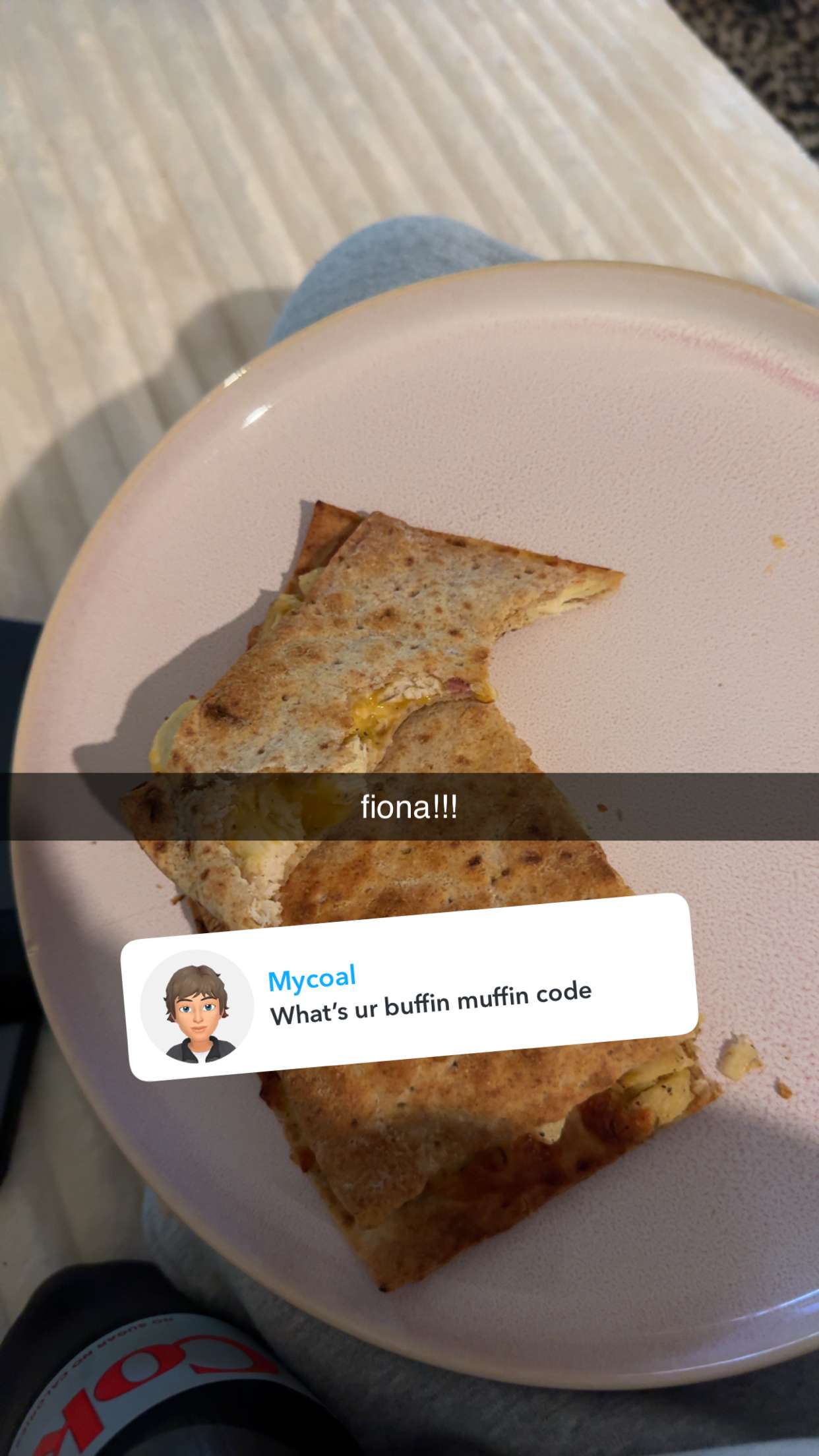 fionamaefit snapchat image archive image