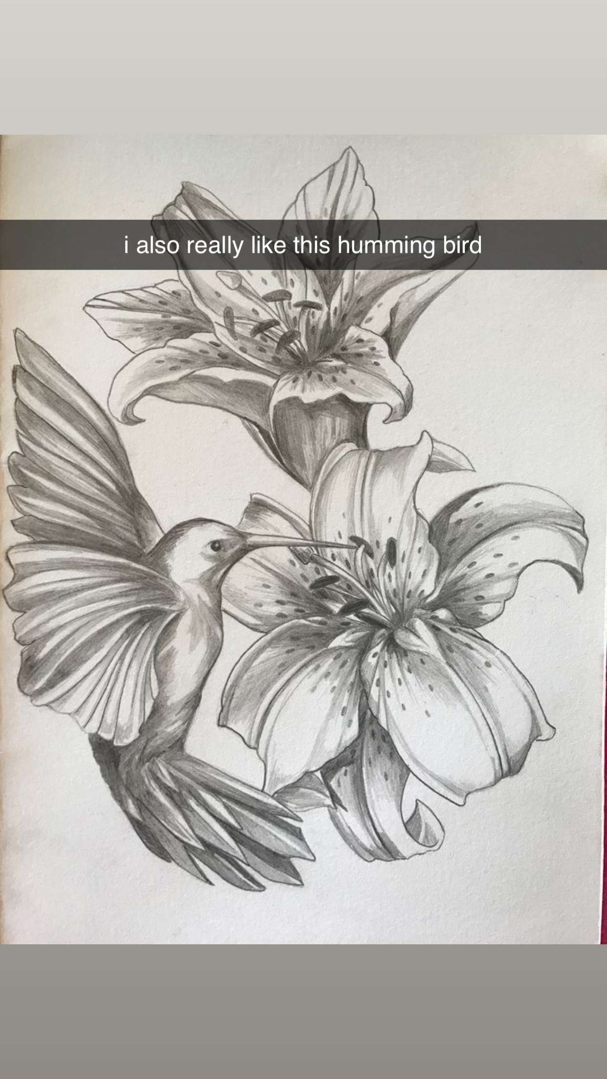 fionamaefit snapchat image archive image