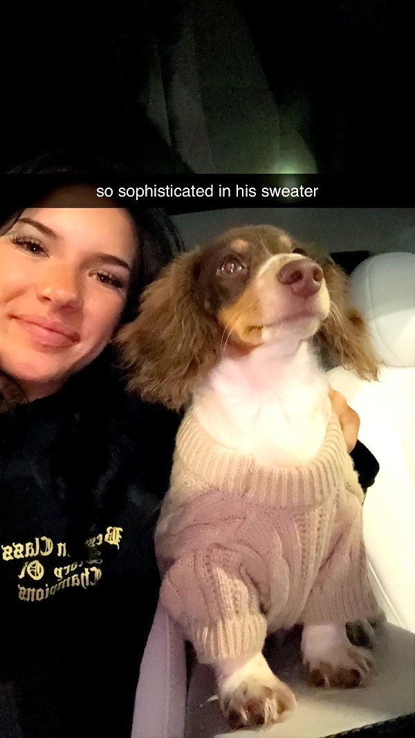 fionamaefit image ~ Altpins