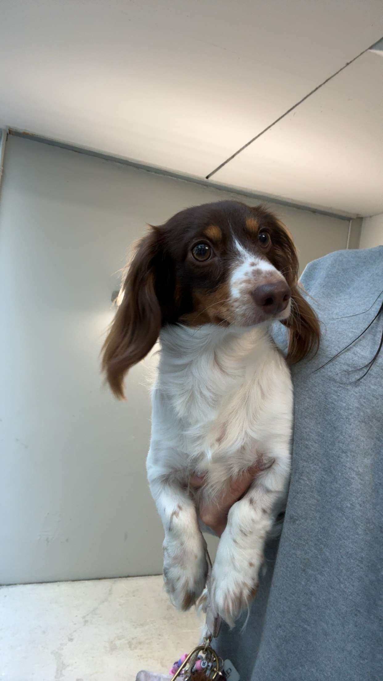 fionamaefit snapchat image archive image