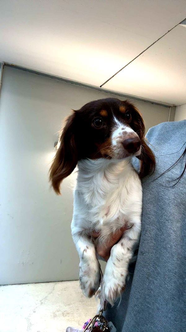 fionamaefit image ~ Altpins