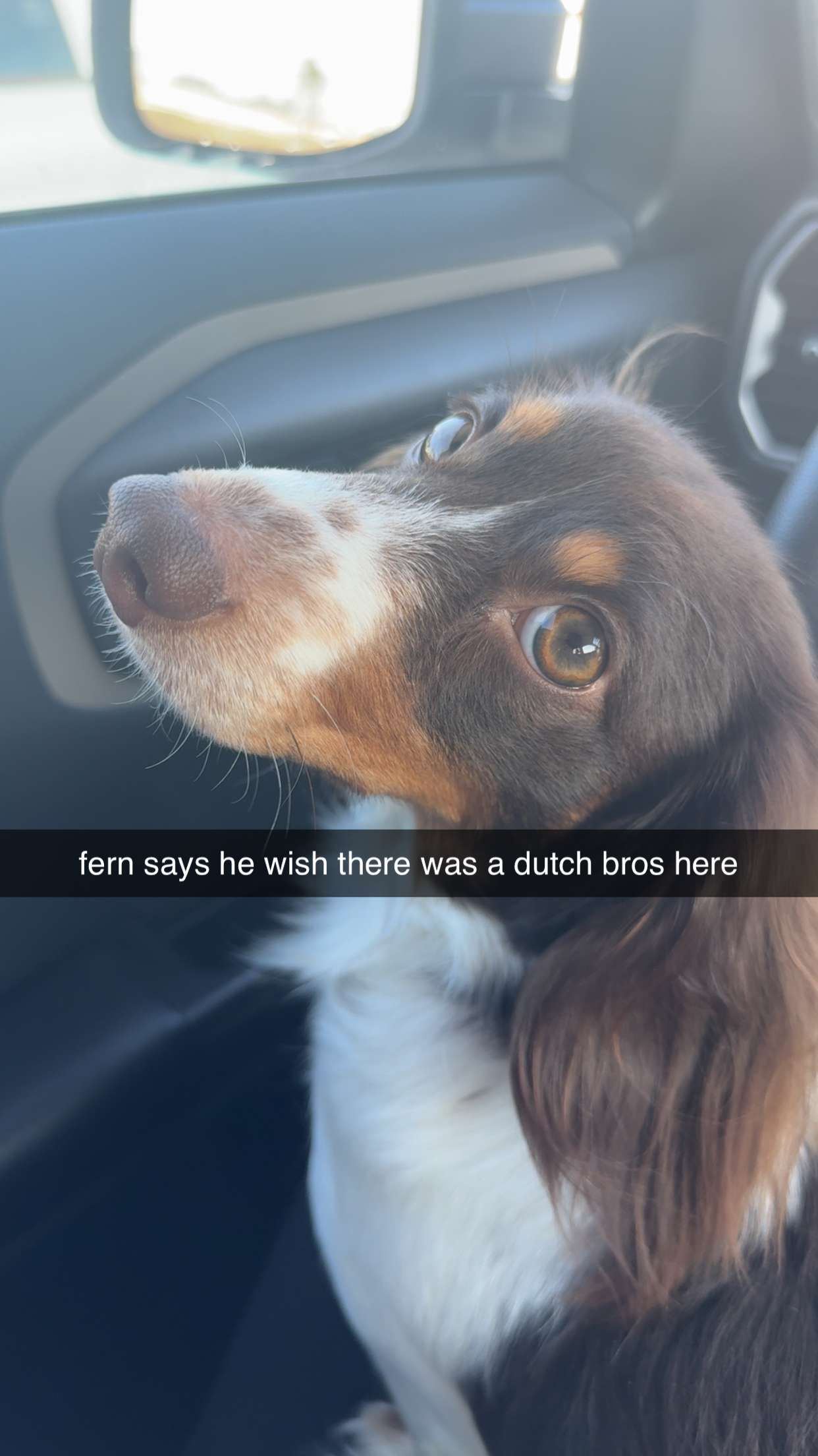 fionamaefit snapchat image archive image