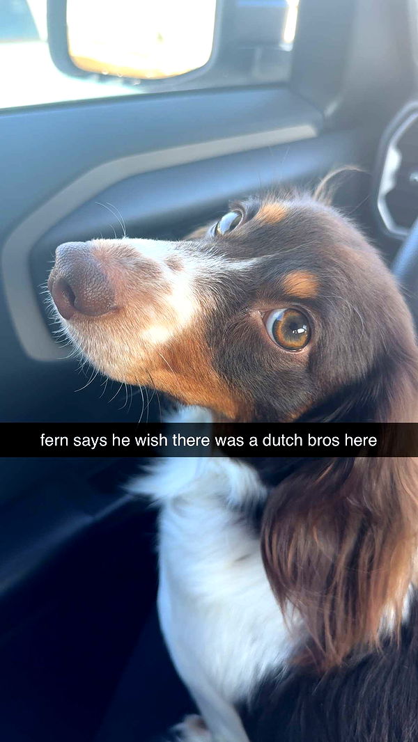 fionamaefit image ~ Altpins